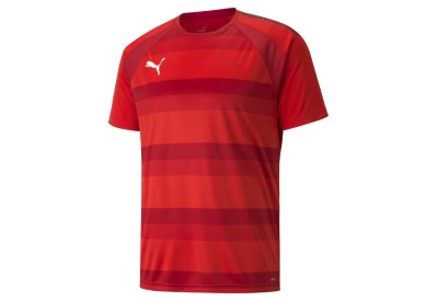 Dres Puma teamVISION