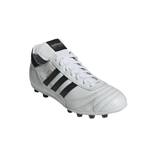 Dětské kopačky Adidas Copa Mundial FG