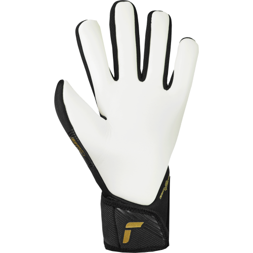 Brankářské rukavice Reusch Fastgrip Silver