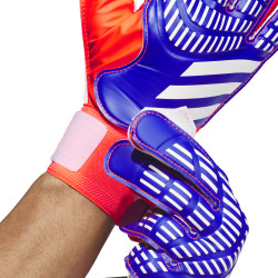 Brankářské rukavice adidas Predator Training